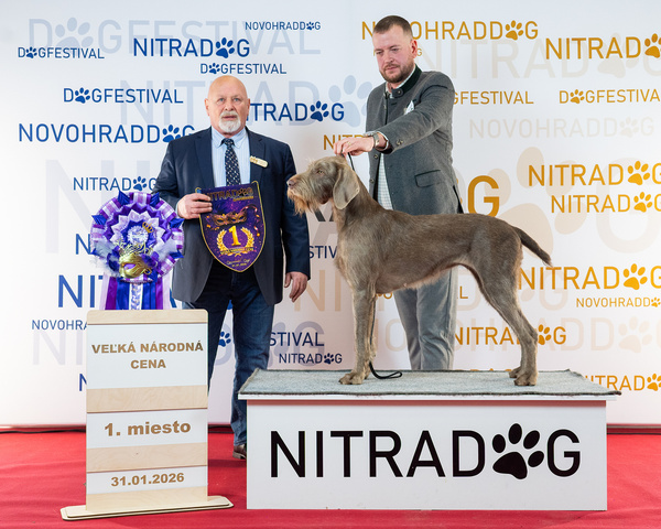 vystava-nitra-stavače3